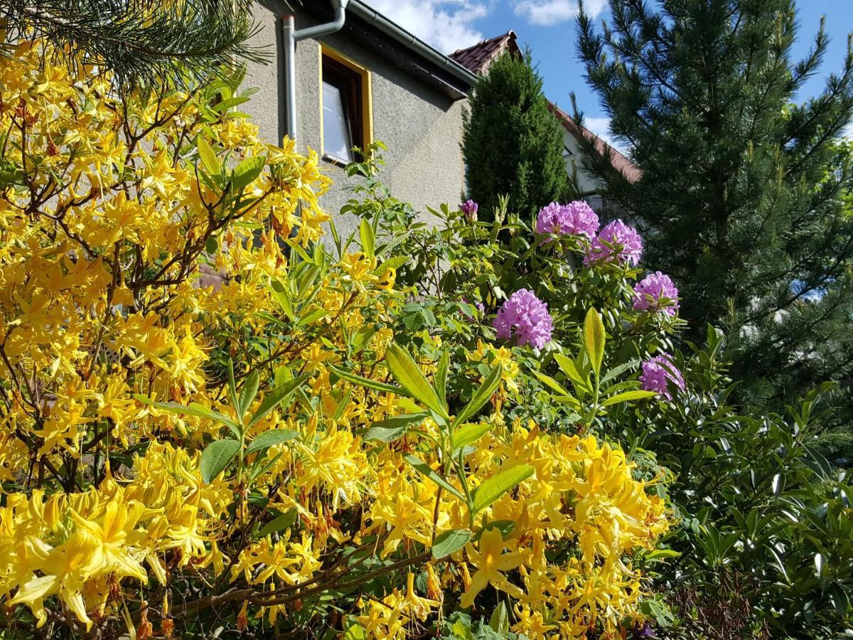 Ferienhaus Am Kirchberg Kurort Steinbach-Hallenberg Kültér fotó