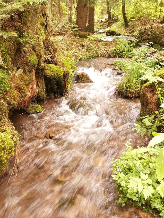Ferienhaus Am Kirchberg Kurort Steinbach-Hallenberg Kültér fotó